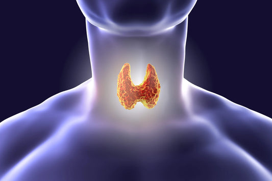 Harnessing the Power of Nature for Thyroid Health: A Path Towards Holistic Wellbeing Backed by Scientific Research