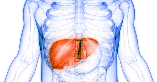 Natural Ways to Support Liver Health