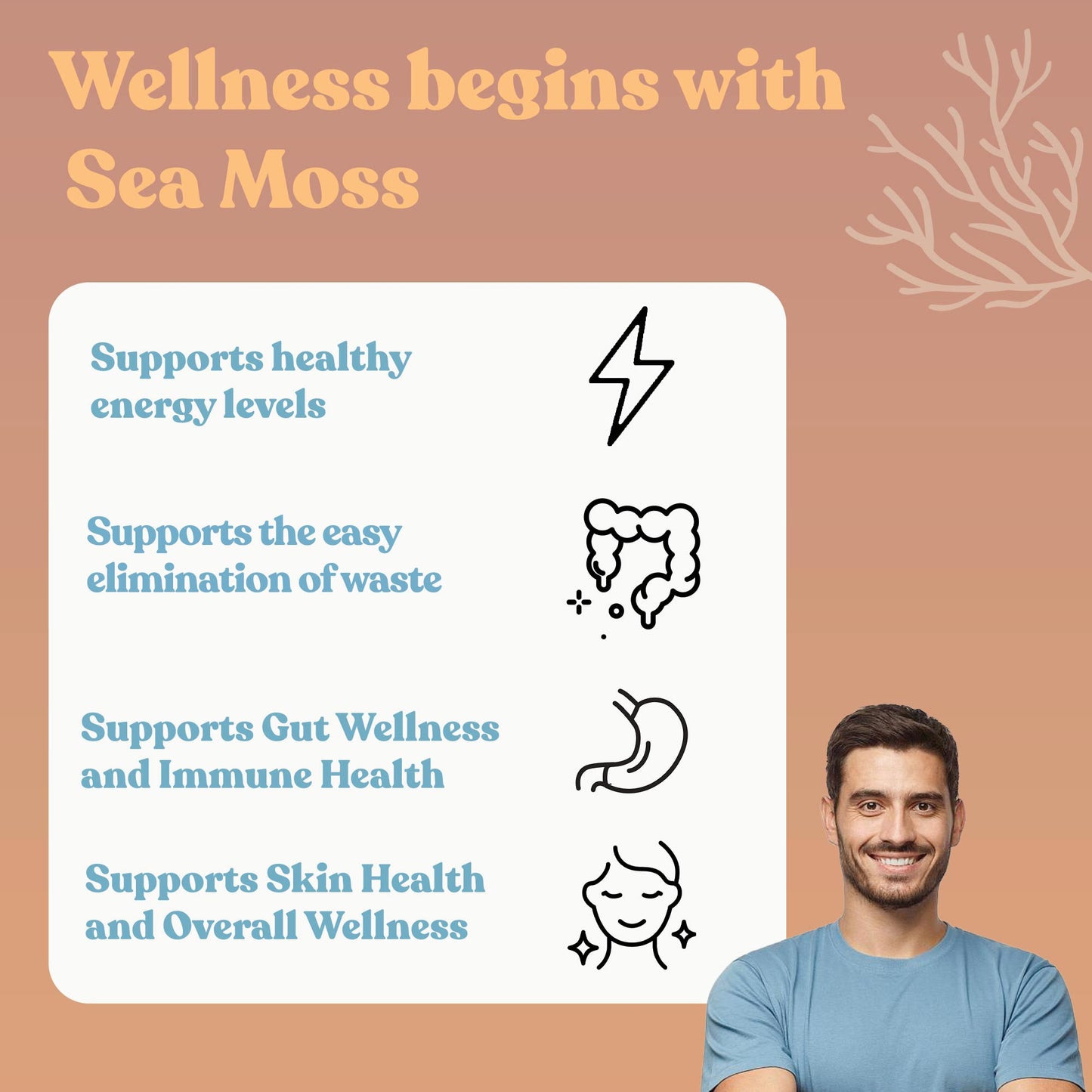 Sea Moss 7 Day Colon and Para Cleanse | Pineapple Flavor