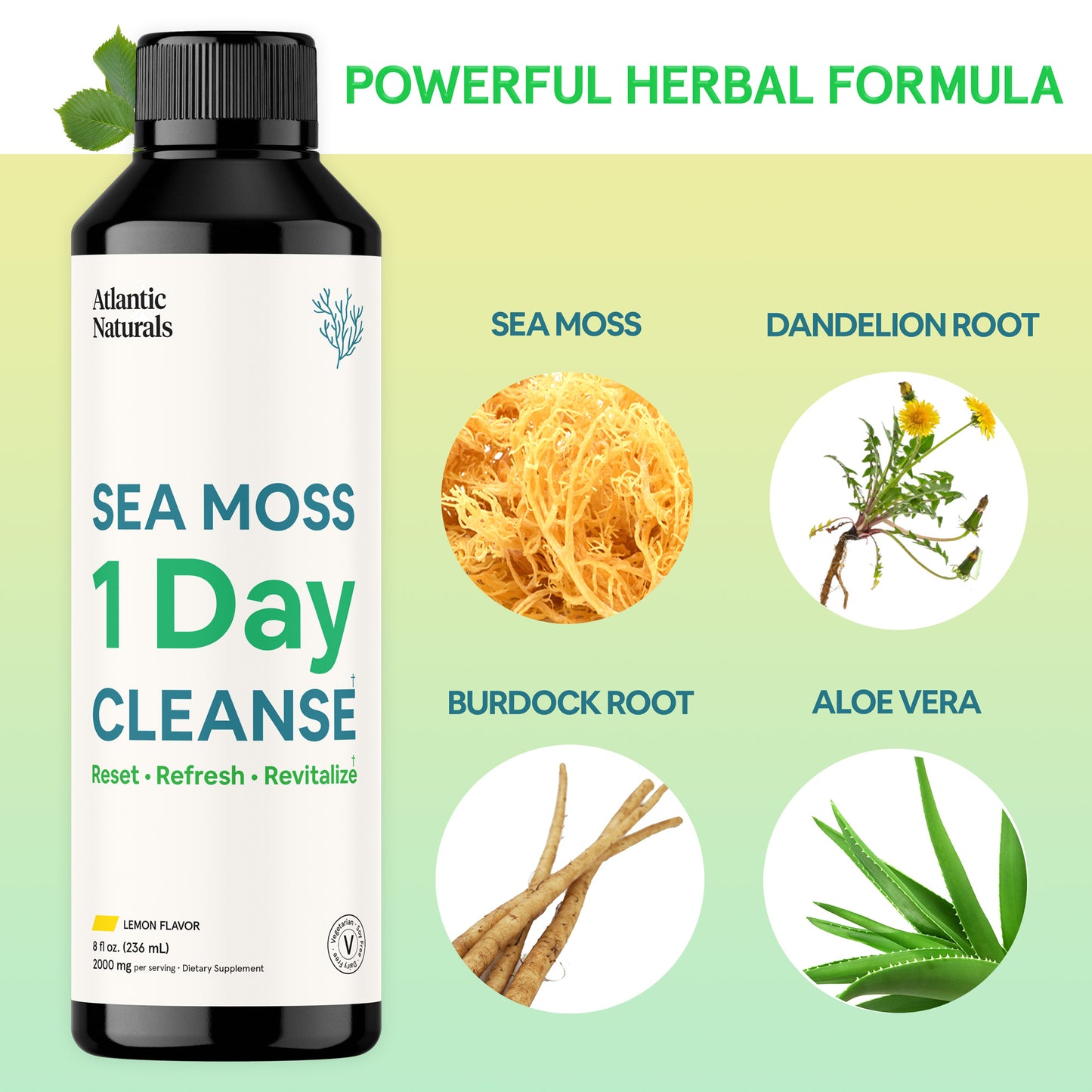 Sea Moss 1 Day Cleanse