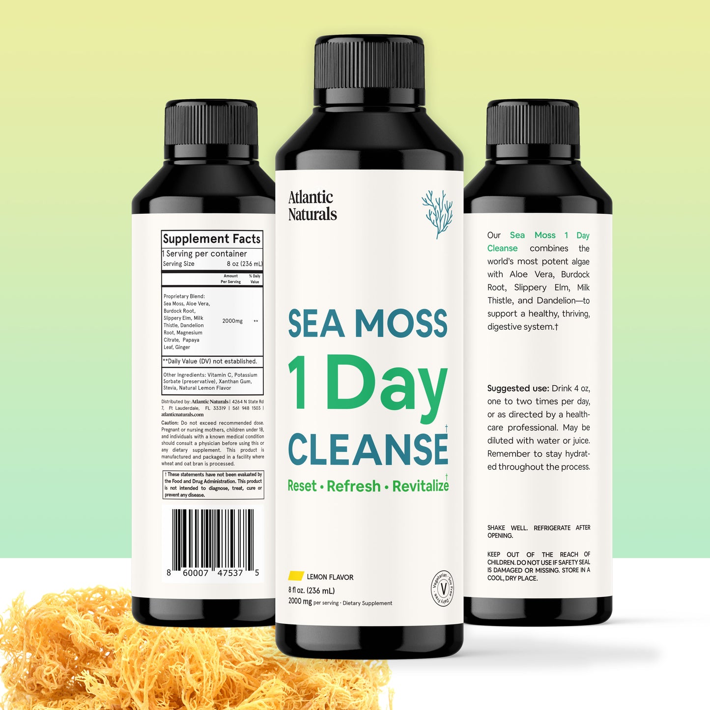 Sea Moss 1 Day Cleanse