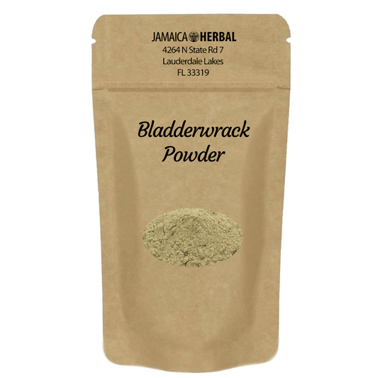 Bladderwrack Powder | Thyroid Support, Digestive Health, Arteriosclerosis Support