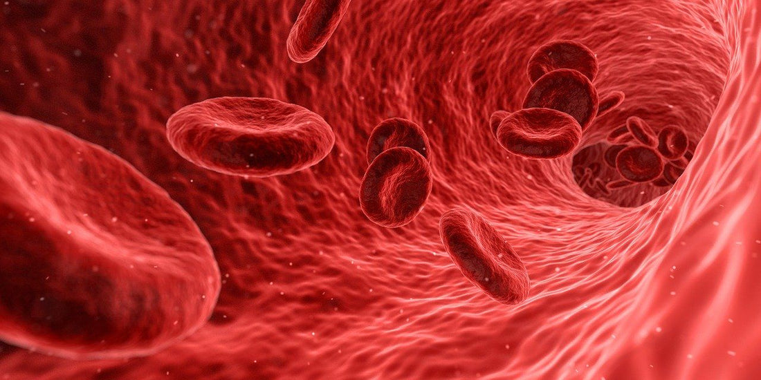 Natural Blood Purification: Merging Ancient Wisdom with Modern Science