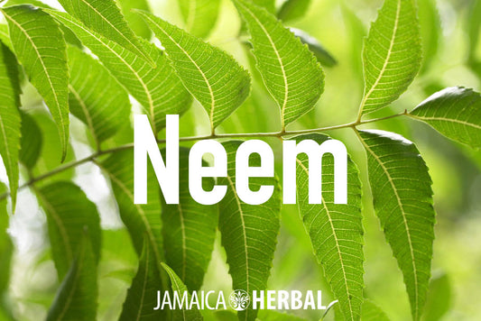 Neem Benefits | Healthy Skin, Lustrous Hair and so much more