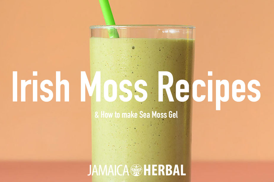 Delicious Sea Moss Recipes (Irish Moss) and How to Make Sea Moss Gel