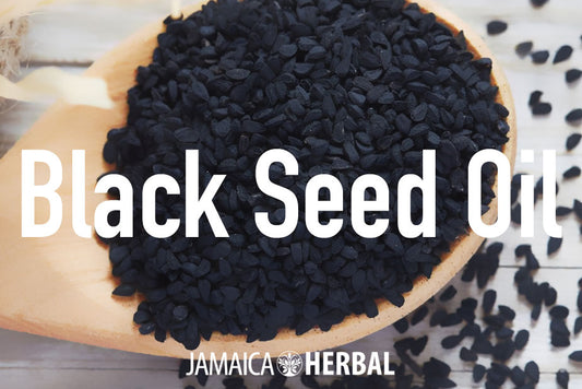 Black Seed Oil | Everything you need to know!