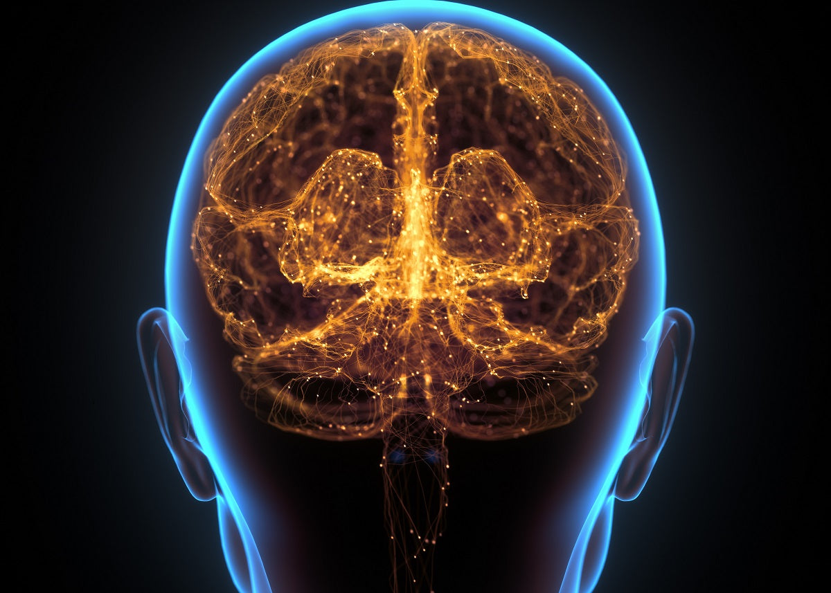 Nourishing the Mind: Natural Approaches to Brain Health and Cognitive Function