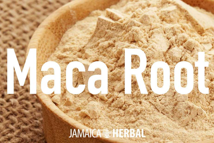10 Amazing Maca Root Benefits