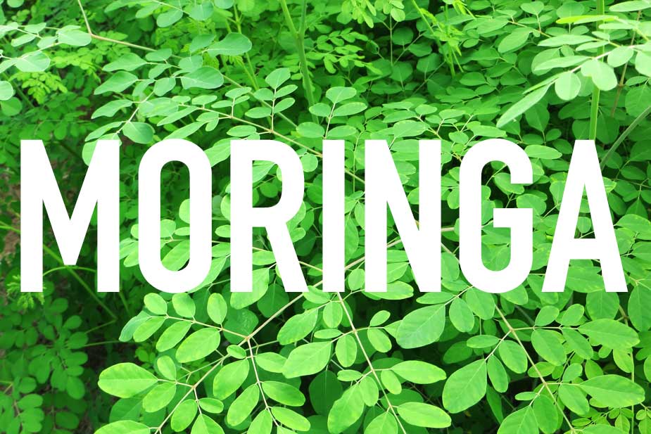 Moringa Health Benefits
