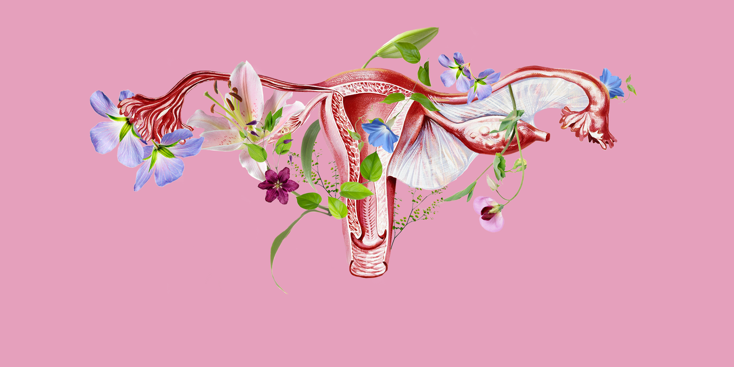 A Comprehensive Look at Herbs for Women's Fertility Support & Exploring the Female Tonic