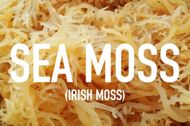 Sea Moss Benefits