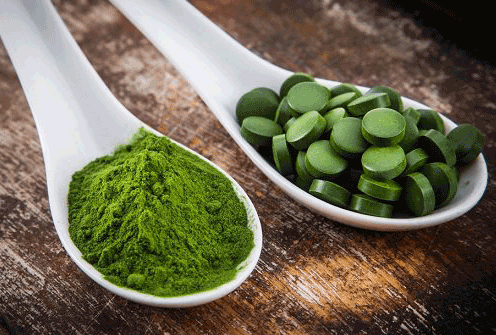 What is Spirulina?
