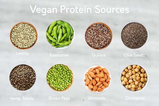 Why incorporate Vegan Protein Sources into your Diet?