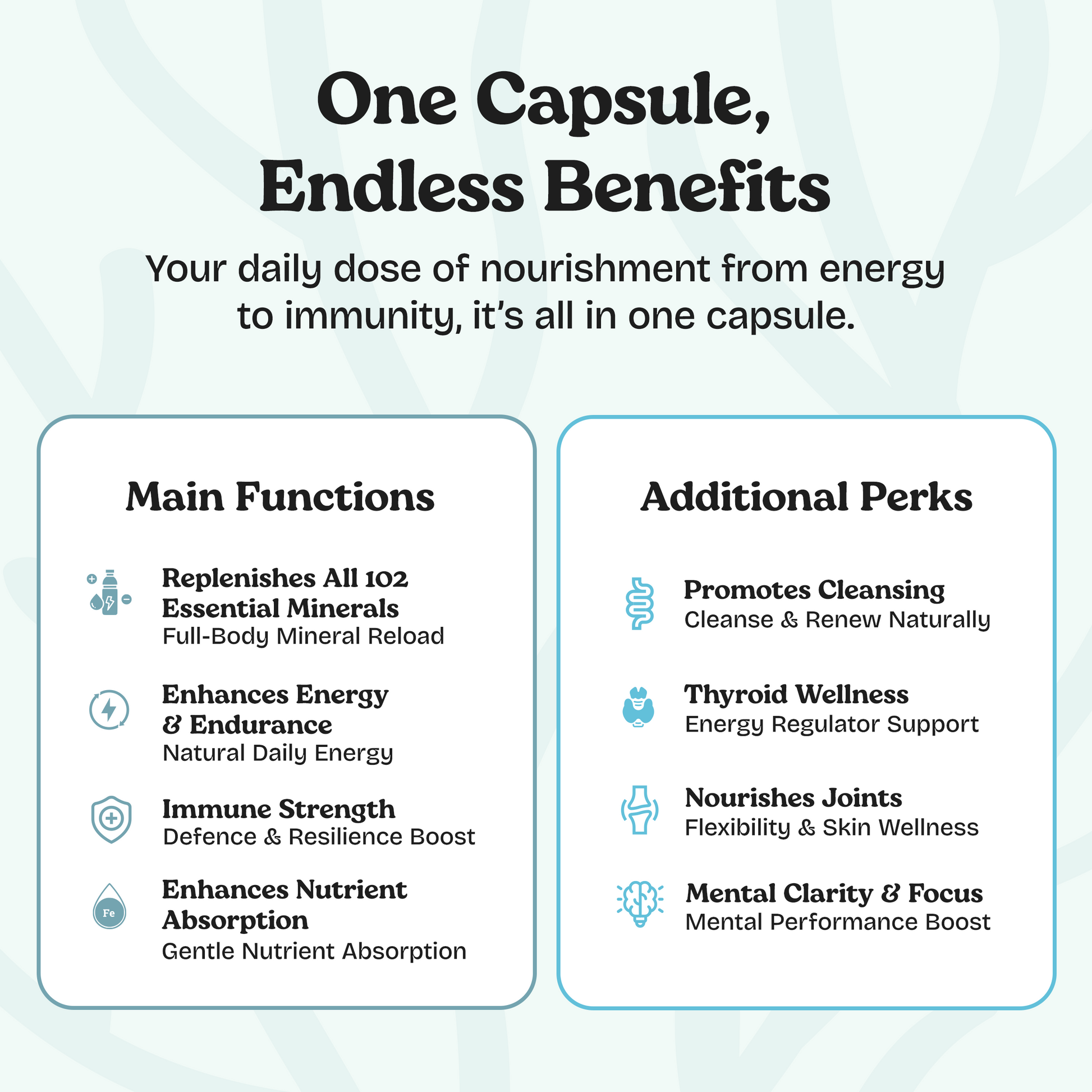 Sea Moss with Shilajit 5-in-1 Capsules