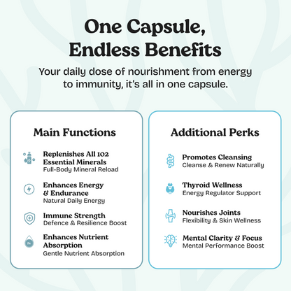 Sea Moss with Shilajit 5-in-1 Capsules