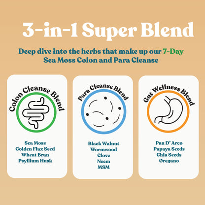 Sea Moss 7 Day Herbal Program | Pineapple Flavor sea moss alternate view