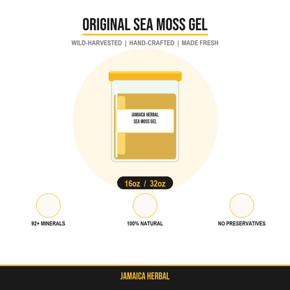 Original Sea Moss Gel - 16oz and 32oz mason jar with golden amber gel by Jamaica Herbal