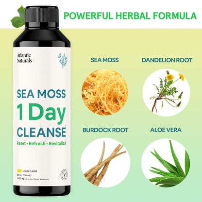 Sea Moss 1 Day Reset sea moss alternate view