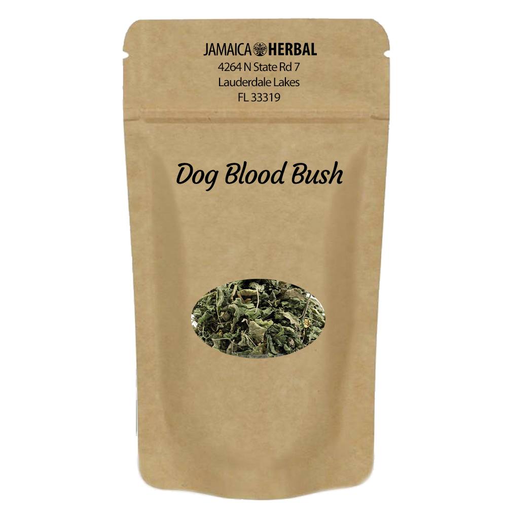 Dog Blood Bush