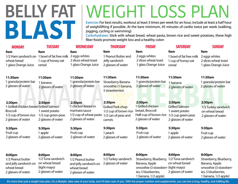 Belly Fat Blast Weight Loss Plan